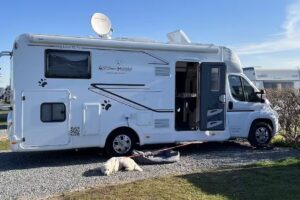 4pfoten-Mobile Königswinter GmbH