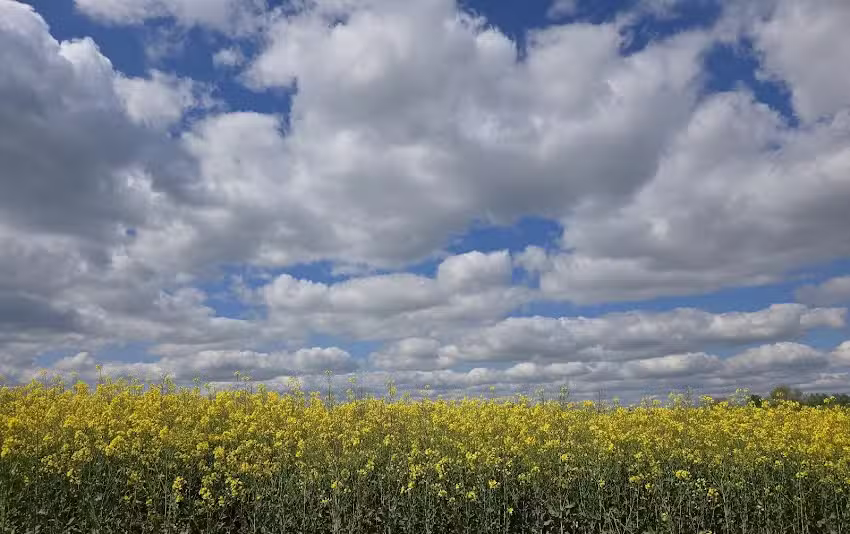 Burghausen-R&uuml;ckmarsdorf