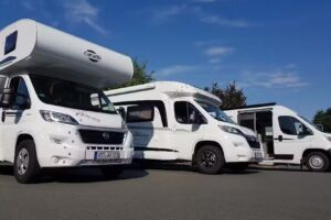 Cats & Dogs &ndash; artgerecht reisen