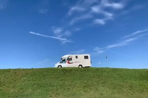 DOCAMO &ndash; Wir lieben Hunde!