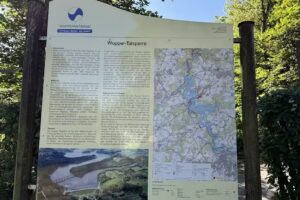 D&ouml;rperh&ouml;he