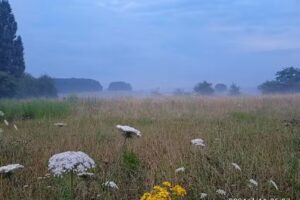 Fahrl&auml;nder Wohnmobilvermietung
