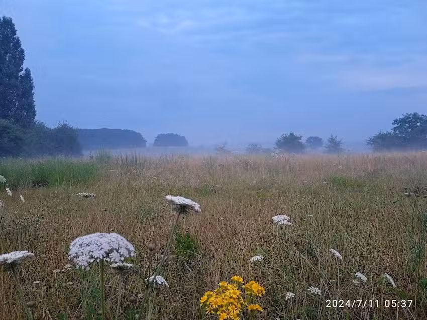 Fahrl&auml;nder Wohnmobilvermietung