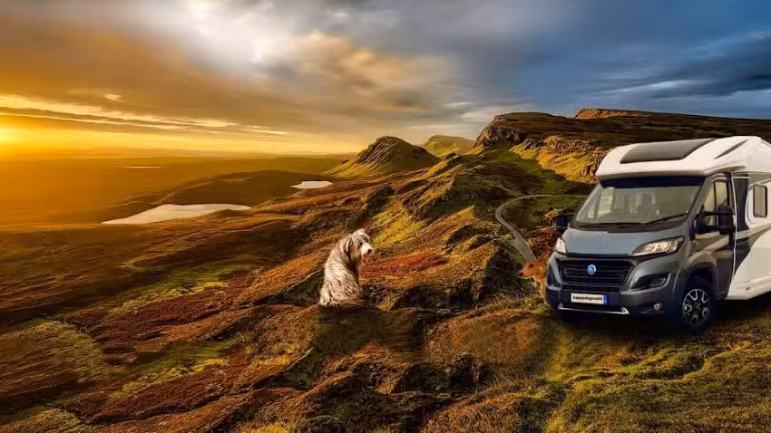 happydogmobil die tierliebe Reisemobilvermietung