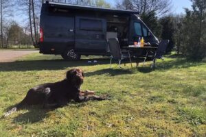 Harvey’s Camper Dream