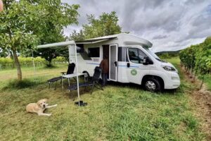 Hundecamper-Vermietung