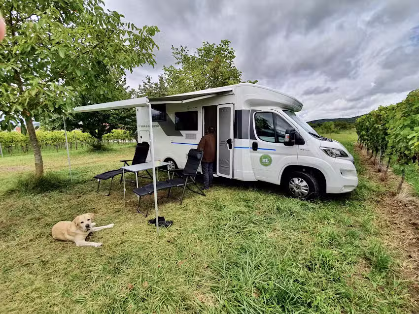 Hundecamper-Vermietung