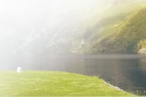 I.M.C Motorclub Service GmbH | Flensburg