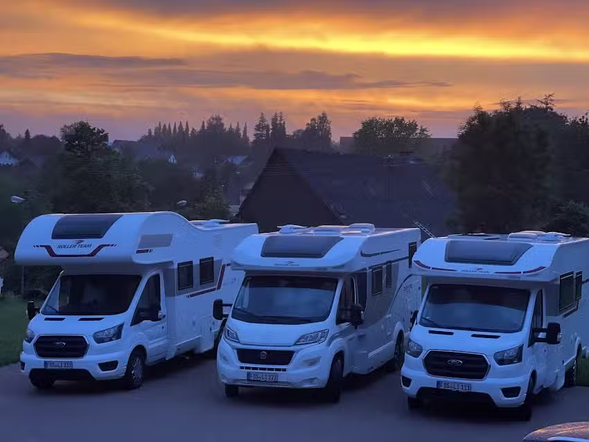 Libby abenteuer mit hund