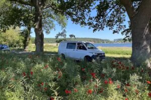 PePi-Mobil Wohnmobile – Vermietung/Verkauf/Service