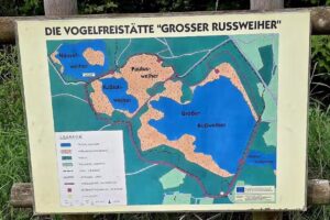 Vogelfreistätte Großer Rußweiher