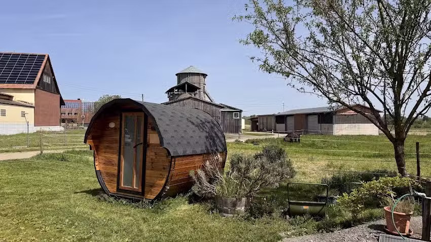 Wohnmobile bei Alpakas