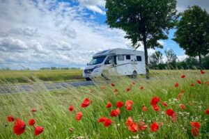 Wohnmobilvermietung DOGMOBILE Eckstein-Scheffler Urlaub mit Hund im Wohnmobil